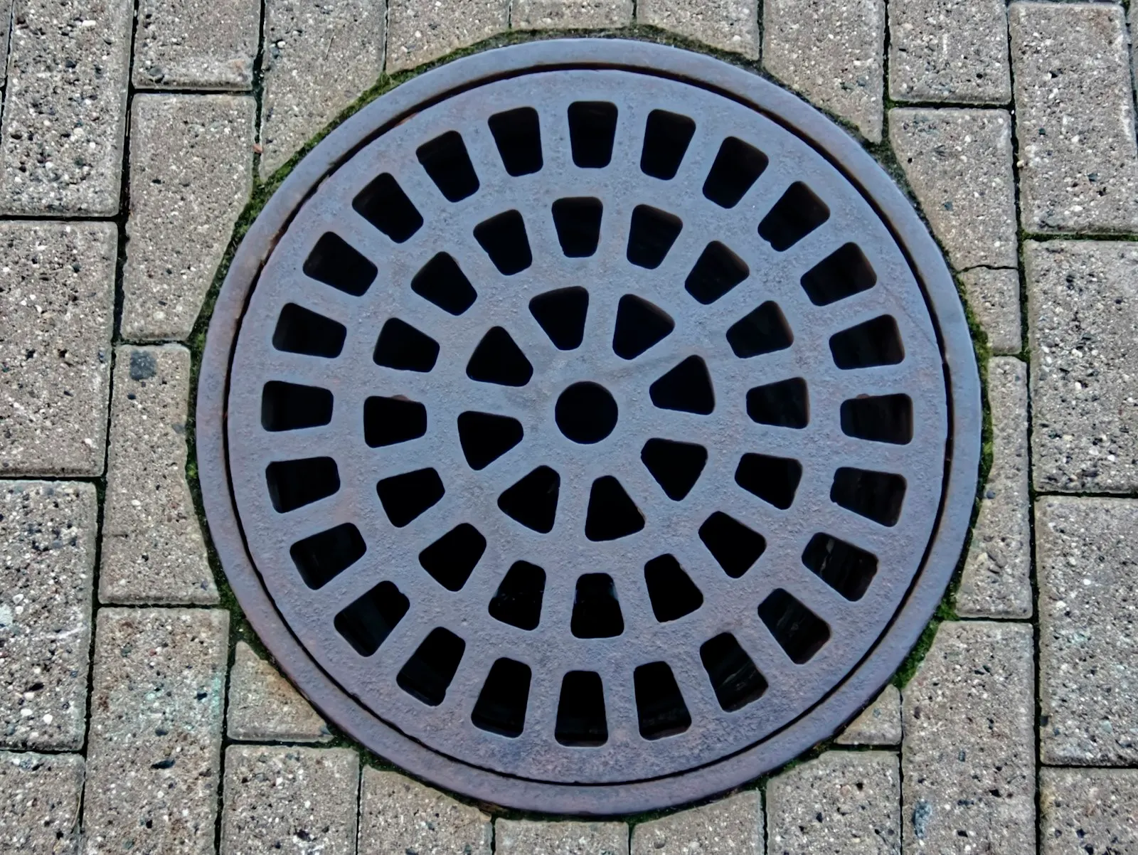 Manhole cover and drainage grate