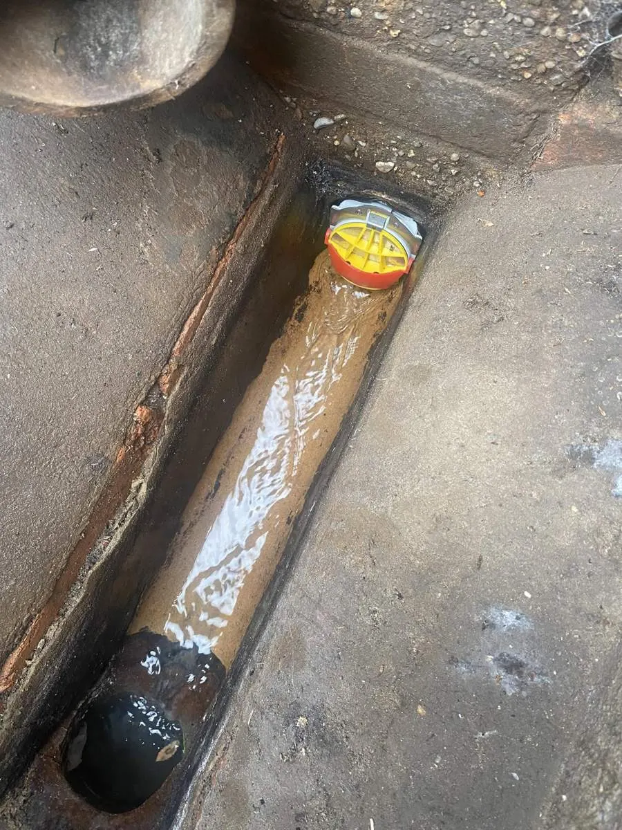Non-return valve to keep rats out