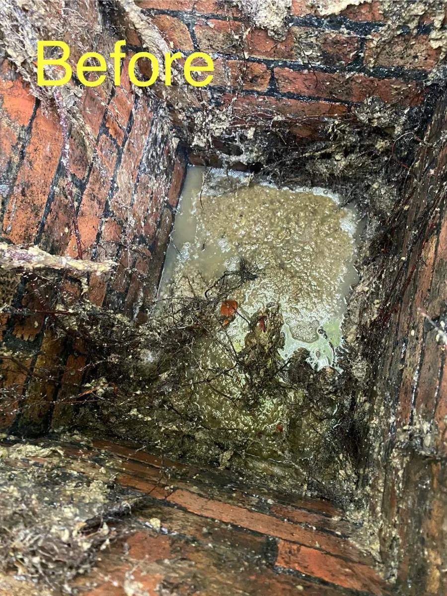 Garden flooding from roots in a manhole