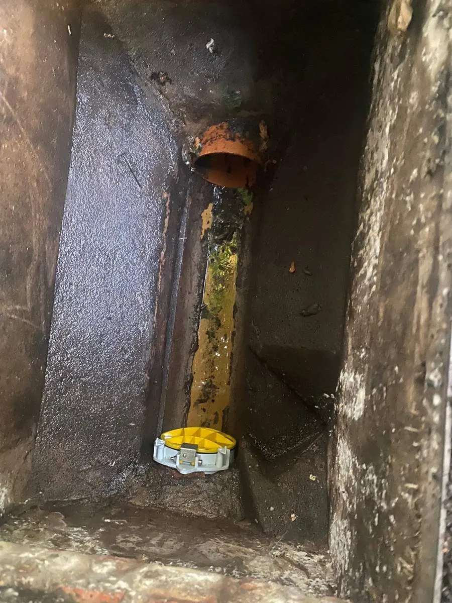 Non-return valve stops sewer smells